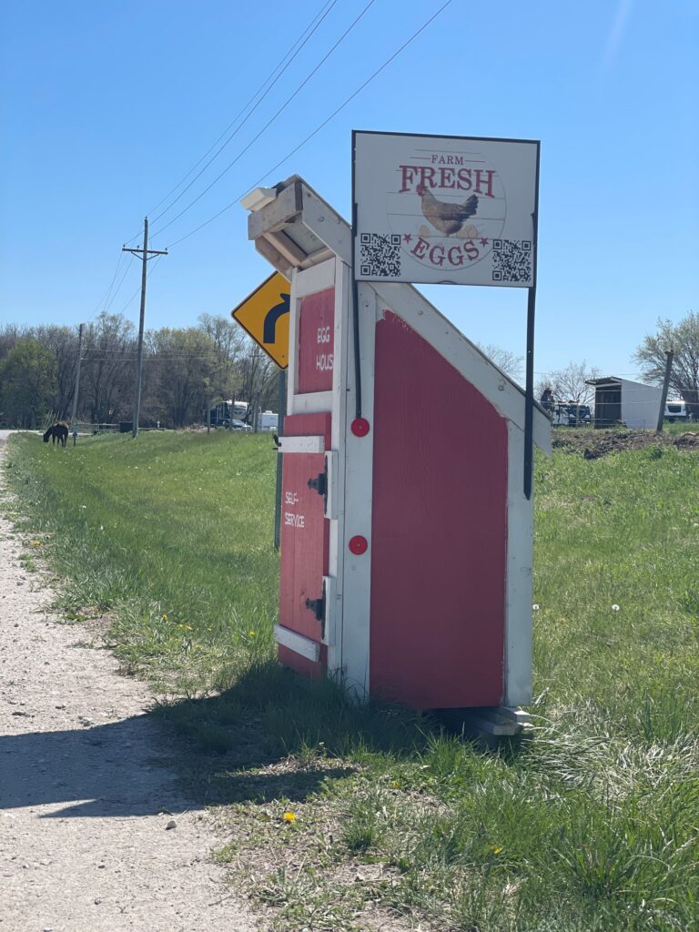 FARM FRESH BROWN EGGS